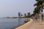 Renew Europe demands independent probe into Angola violence targeting UNITA