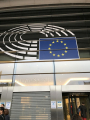 European Parliament condemns human rights violations in Georgia, Iran, and Mali