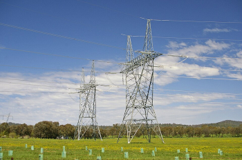 EU services sector energy use climbs slightly in 2024, driven by electricity and natural gas