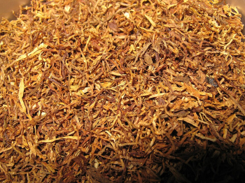 EU tobacco rules cut smoking rates, But new nicotine products pose growing risk, Commission warns